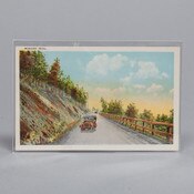 Mylar REGULAR Postcard Sleeve